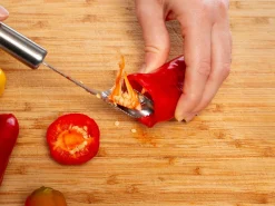 Chili Frøfjerner