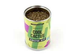 Cool Cactus Konservesplante