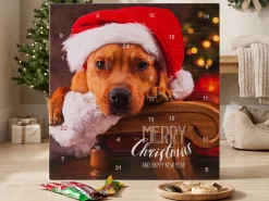 Julekalender med Hundegodis