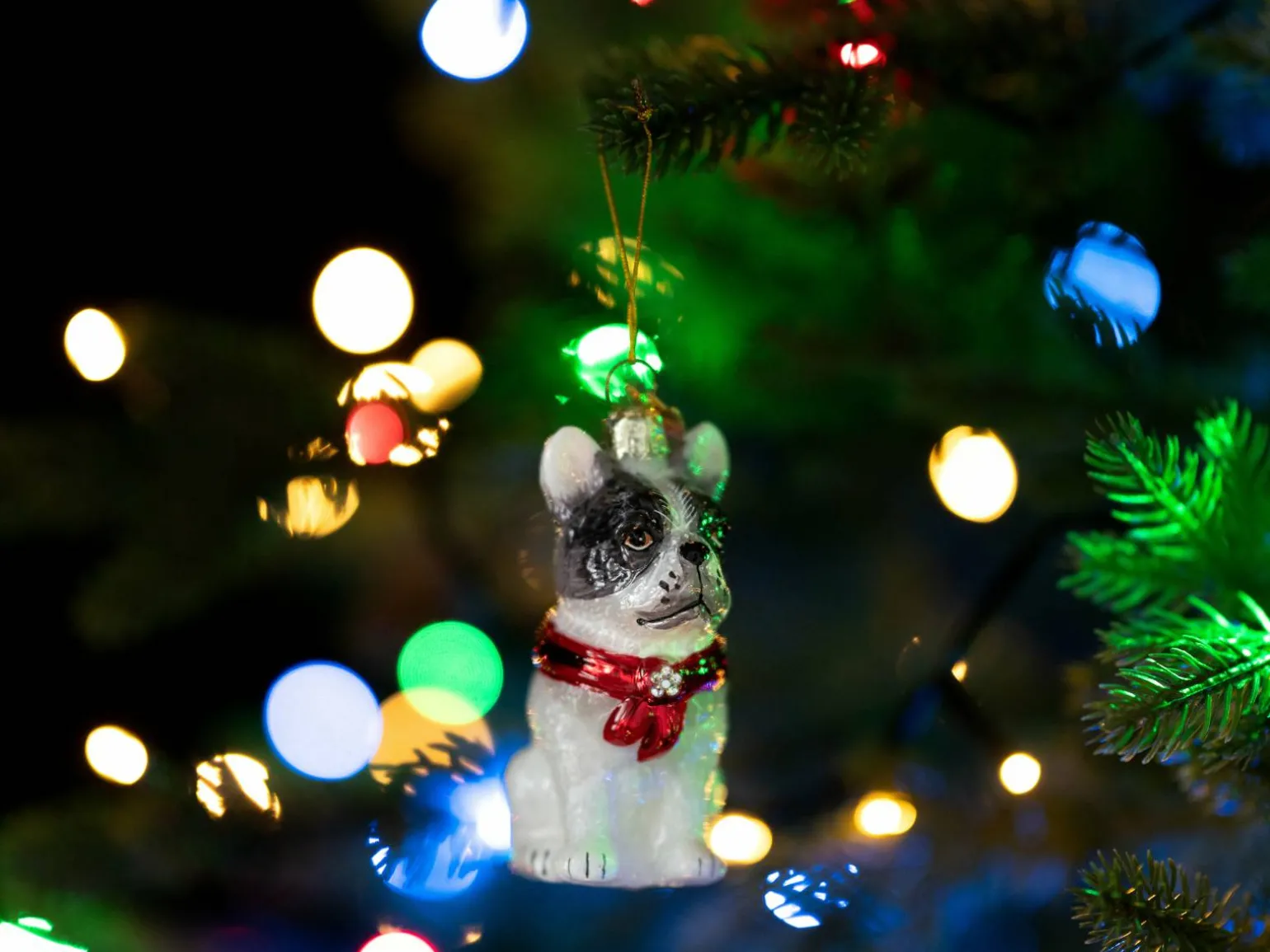 Juletræspynt Fransk Bulldog