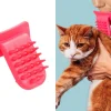 Lick Kattebørste