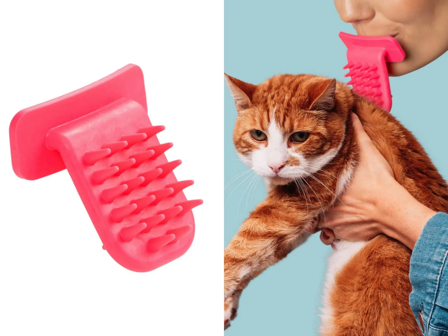 Lick Kattebørste