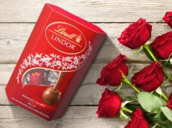 Lindt Lindor Cornet 500 gram - Mælkechokolade