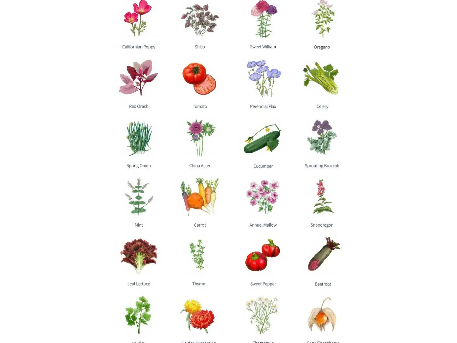 Magic Garden Seeds Julekalender