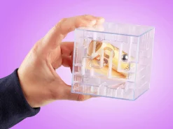 Money Maze Pengelabyrint