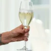 Personligt Spiegelau Champagneglas med Gravering - Initialer