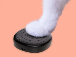 Pet Doorbell