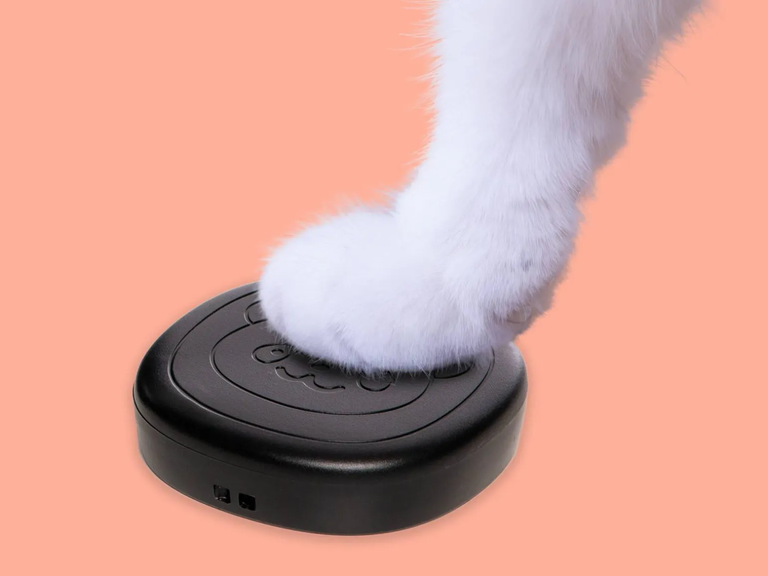 Pet Doorbell