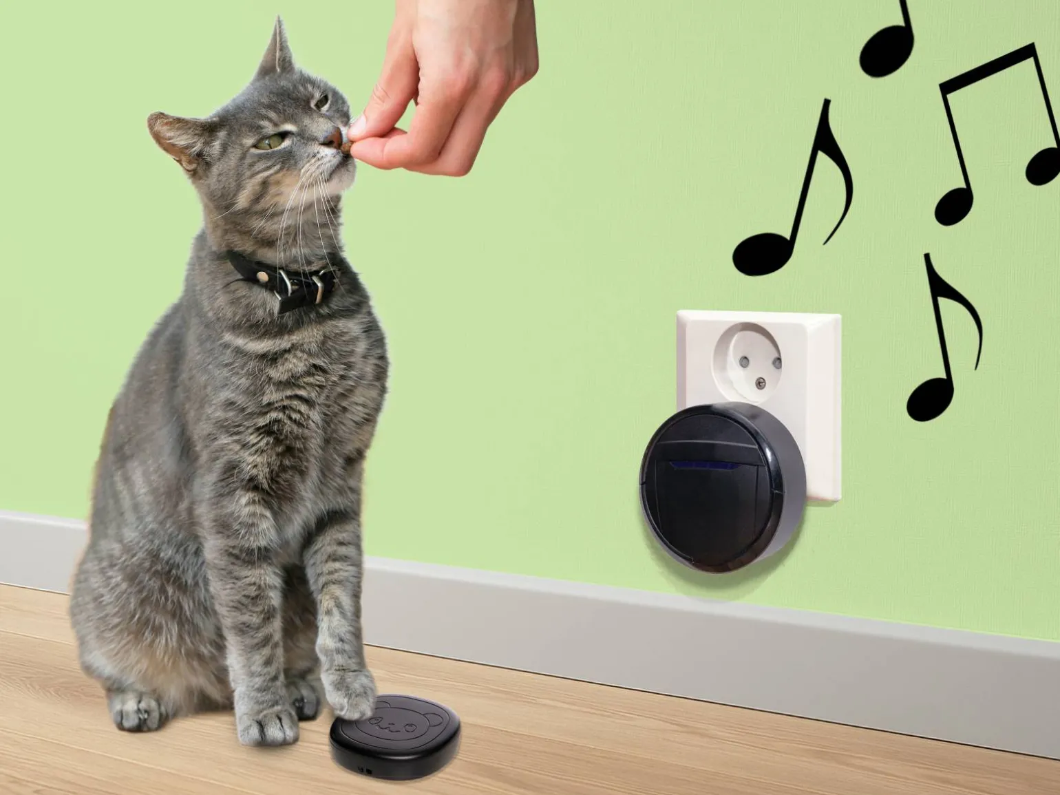 Pet Doorbell