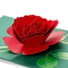 Pop Up-kort - Rød Rose
