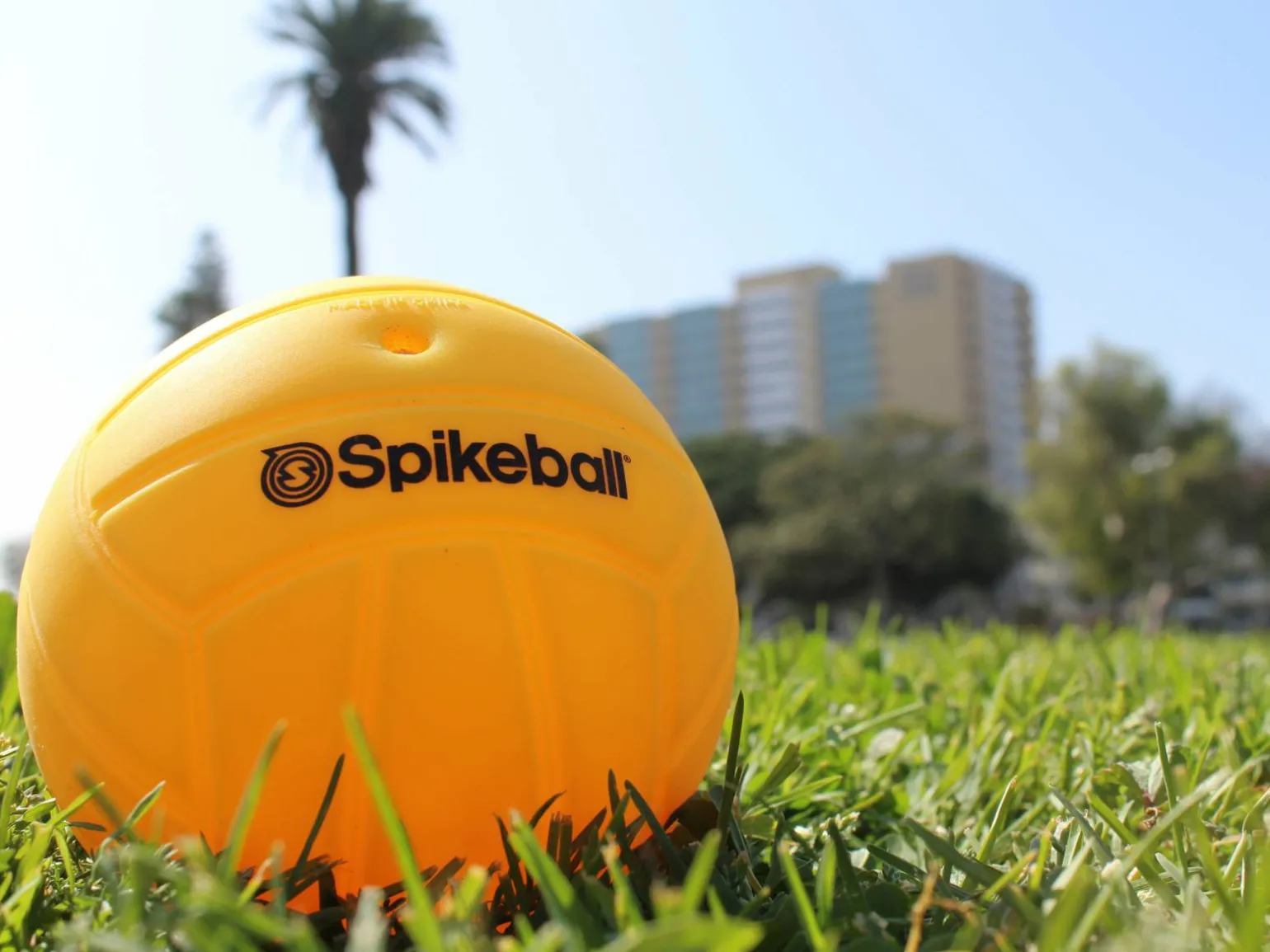 Spikeball Standard Balls (2-pak)