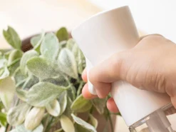 Sprayflaske med Mist