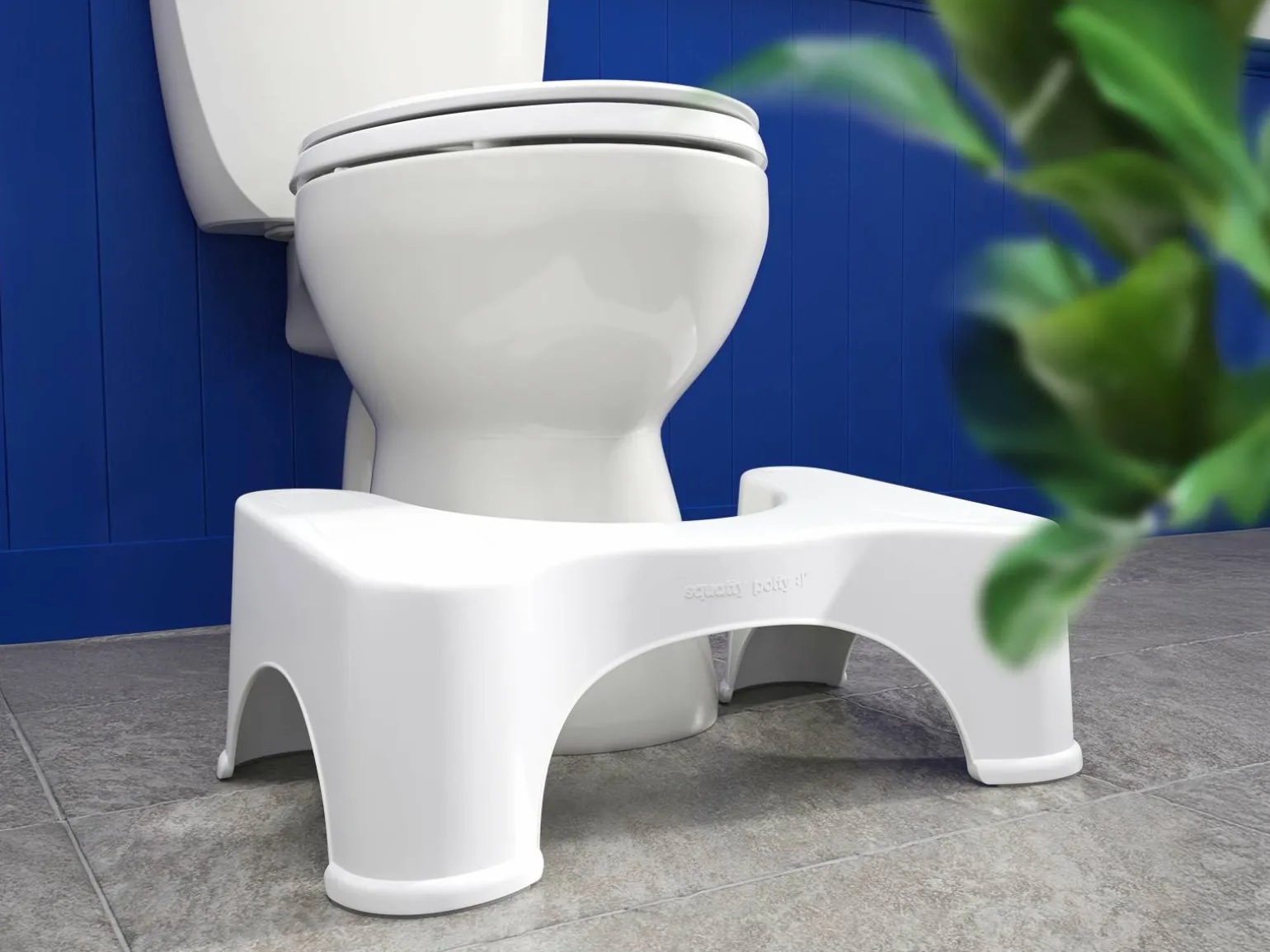 Squatty Potty Original